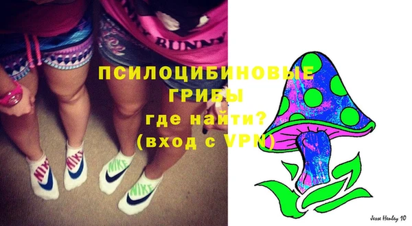 синтетический гашиш Белокуриха