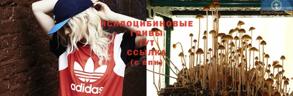 синтетический гашиш Белокуриха